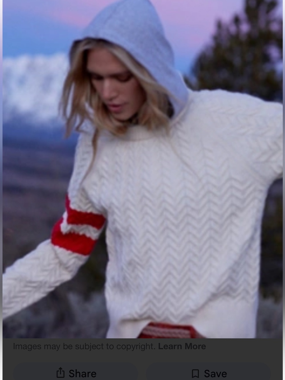 Anthropologie Central Park West Hoodie Sweater size XL